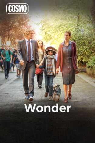 Wonder