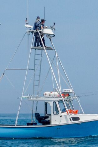 Pesca con arpón. T(T1). Pesca con arpón (T1): Pez para terminar