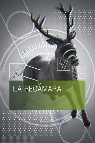 La recámara. T(T1). La recámara (T1): Caza de acuáticas
