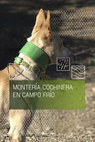 Montería cochinera en Campo Frío