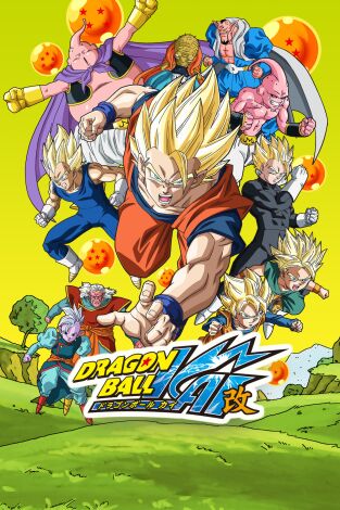 Dragon Ball Z Kai. T(T2). Dragon Ball Z Kai (T2): Ep.14 ¡Videl vapuleada! ¡La furia de Gohan llega a su límite!