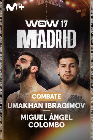 WOW. WOW: La última pelea de Ibragimov