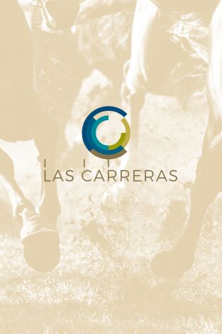 Carreras de Caballos- Turf. T(2025). Carreras de... (2025): 11/06/2025 Hipódromo de San Sebastián
