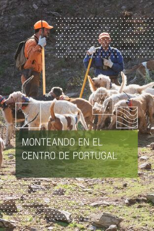 Monteando en el centro de Portugal