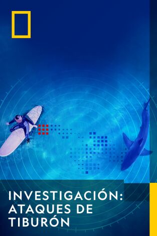 Investigación: ataques de tiburón