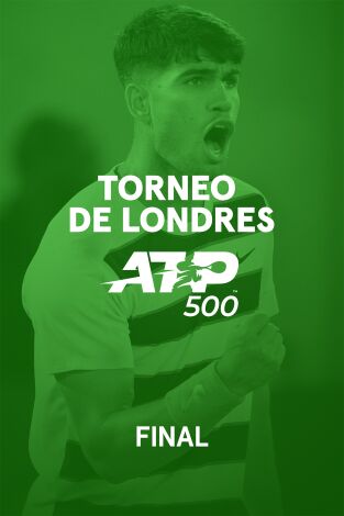 Final. Final: Alcaraz - Lehecka