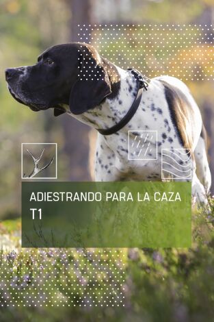 Adiestrando para la caza. T(T1). Adiestrando para... (T1): La obediencia