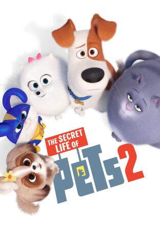 Mascotas 2