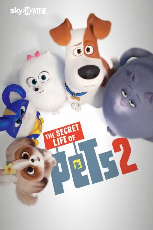 Mascotas 2