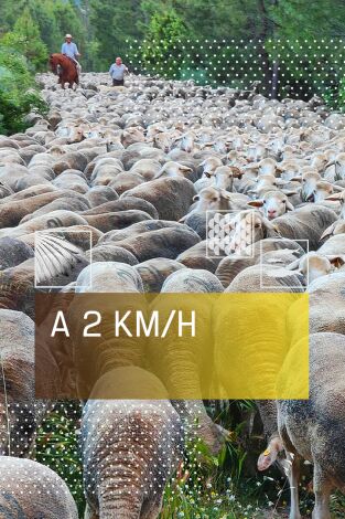 A 2 km/h. T(T1). A 2 km/h (T1): El reto