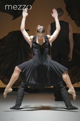 Malandain Ballet Versailles: Les Saisons