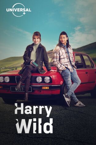 Harry Wild. T(T3). Harry Wild (T3)