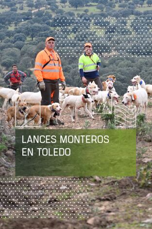 Lances monteros en Toledo