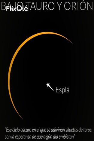 Bajo Tauro y Orión