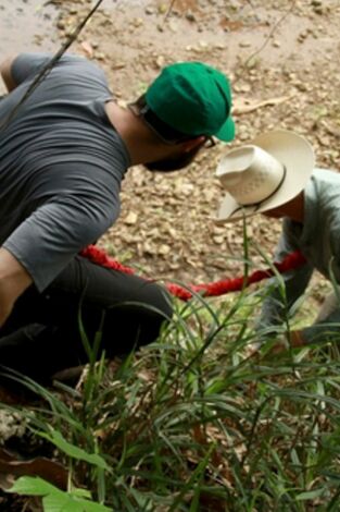 Encadenados. Encadenados: Jungla del Camino Real, Panamá