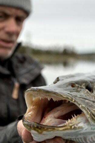 Aguas profundas con Jeremy Wade. Aguas profundas con...: Un depredador de la era glacial