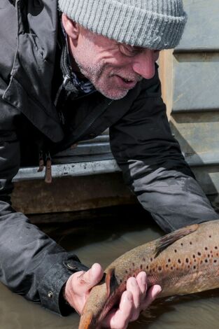 Aguas profundas con Jeremy Wade. Aguas profundas con...: Bestia de río jurásica