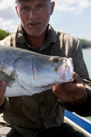 Aguas profundas con Jeremy Wade. Aguas profundas con...: Un invasor tóxico