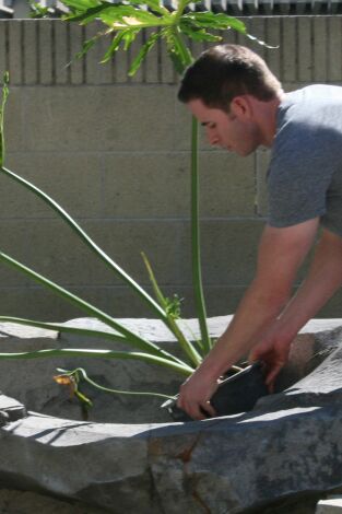 Flip o Flop. T(T5). Flip o Flop (T5): El valor de una piscina