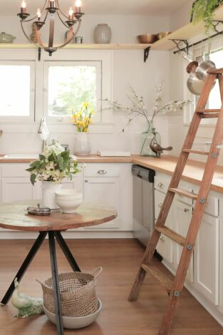 Reforma con Karen y Mina. T(T5). Reforma con Karen... (T5): Cabaña oasis