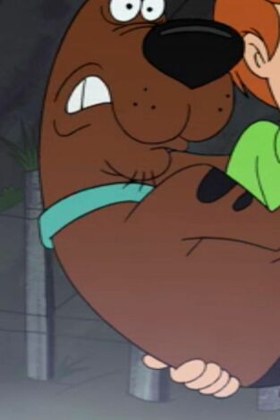 ¡Enróllate Scooby-Doo!. T(T2). ¡Enróllate... (T2): Date un respiro Fred