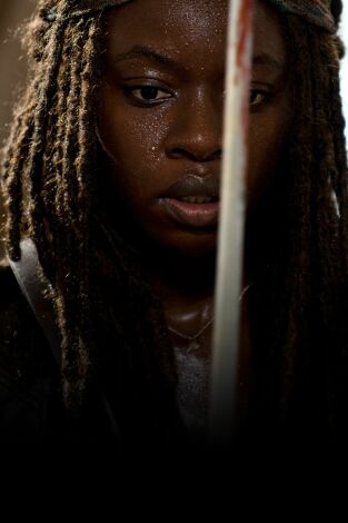 The Walking Dead. T(T6). The Walking Dead (T6)