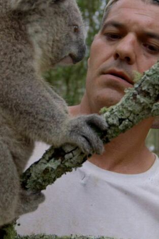 Wild Frank en Australia. Wild Frank en Australia: Ep.4