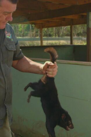 Wild Frank en Australia. Wild Frank en Australia: Ep.6