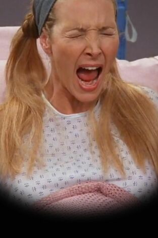 Friends. T(T5). Friends (T5): Ep.3 El de los trillizos