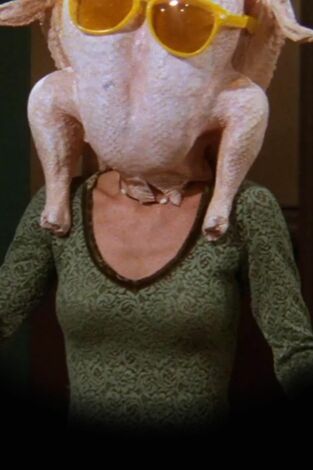 Friends. T(T5). Friends (T5): Ep.8 El de todos los Acciones de Gracias