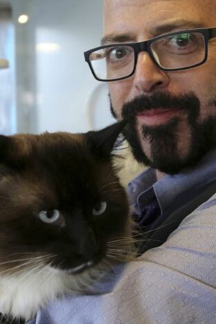 El encantador de gatos, Season 9. T(T8). El encantador de... (T8): Gato salvaje