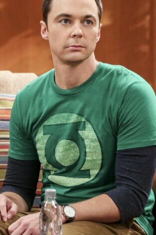 The Big Bang Theory. T(T10). The Big Bang Theory (T10): Ep.4 La experimentación de la cohabitación