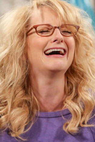 The Big Bang Theory. T(T10). The Big Bang Theory (T10): Ep.12 El resumen de las fiestas