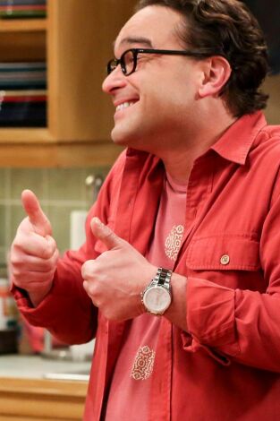 The Big Bang Theory. T(T10). The Big Bang Theory (T10): Ep.22 La regeneración de la cognición