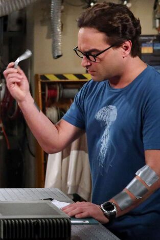 Big Bang. T(T8). Big Bang (T8): Ep.5 La atenuación de la concentración