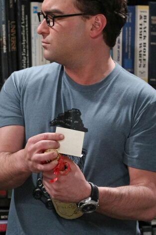 The Big Bang Theory. T(T8). The Big Bang Theory (T8): Ep.10 La reflexión del champán