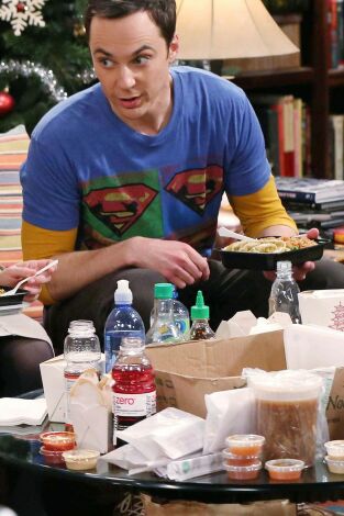 The Big Bang Theory. T(T8). The Big Bang Theory (T8): Ep.11 La infiltración en la sala blanca