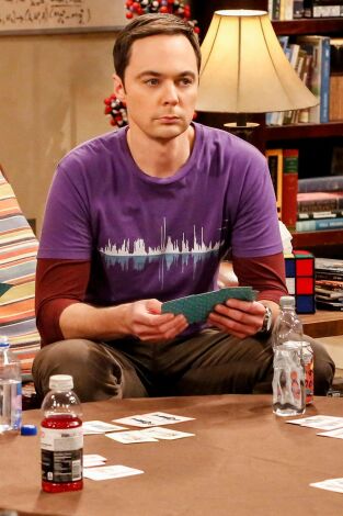 The Big Bang Theory. T(T11). The Big Bang Theory (T11): Ep.3 La integración de la relajación