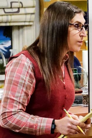 The Big Bang Theory. T(T11). The Big Bang Theory (T11): Ep.10 La erosión de la seguridad