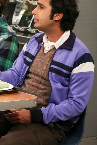 The Big Bang Theory. T(T11). The Big Bang Theory (T11): Ep.15 La correlación de la novelización