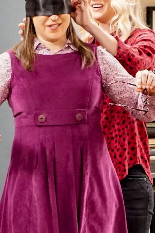 The Big Bang Theory. T(T11). The Big Bang Theory (T11): Ep.20 El potencial de la reclusión
