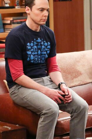 The Big Bang Theory. T(T11). The Big Bang Theory (T11): Ep.23 La realineación fraternal