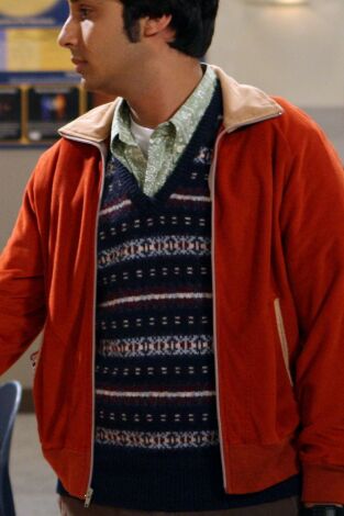 The Big Bang Theory. T(T4). The Big Bang Theory (T4): Ep.10 La hipótesis del parásito alienígena