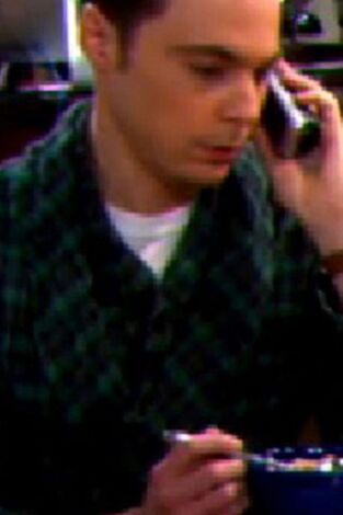 The Big Bang Theory. T(T4). The Big Bang Theory (T4): Ep.15 El factor benefactor