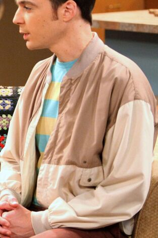 The Big Bang Theory. T(T5). The Big Bang Theory (T5): Ep.2 La teoría de la plaga