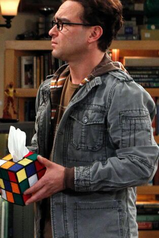 The Big Bang Theory. T(T5). The Big Bang Theory (T5): Ep.6 La revelación de la rinitis