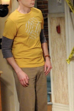 The Big Bang Theory. T(T5). The Big Bang Theory (T5): Ep.9 La difusión de la ornitofobia