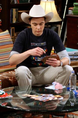 The Big Bang Theory. T(T5). The Big Bang Theory (T5): Ep.10 La adquisición de la escupidera llameante