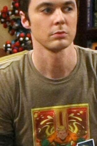 The Big Bang Theory. T(T5). The Big Bang Theory (T5): Ep.13 La hipótesis de la recombinación