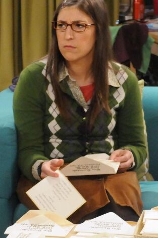 The Big Bang Theory. T(T5). The Big Bang Theory (T5): Ep.16 La solución a las vacaciones
